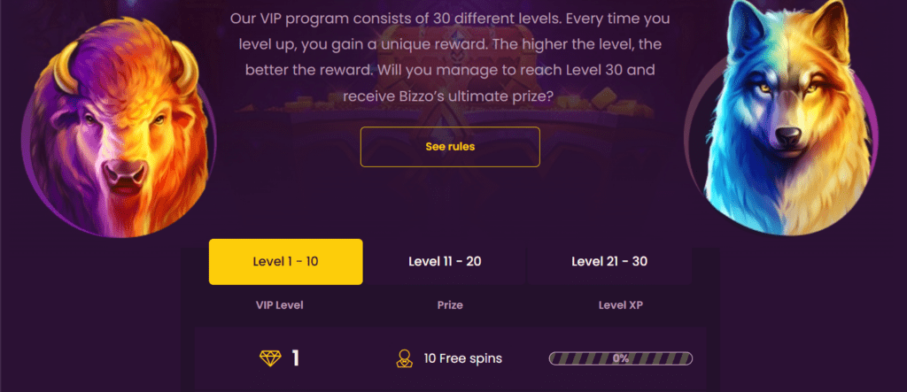 bizzo casino vip program